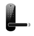 Euro Wodoodporne Inteligentne drzwi Hotelowe klamki do drzwi Inteligentne drzwi do bram Cyfrowa biometryczna blokada linii papilarnych